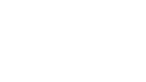 st-brand-logo